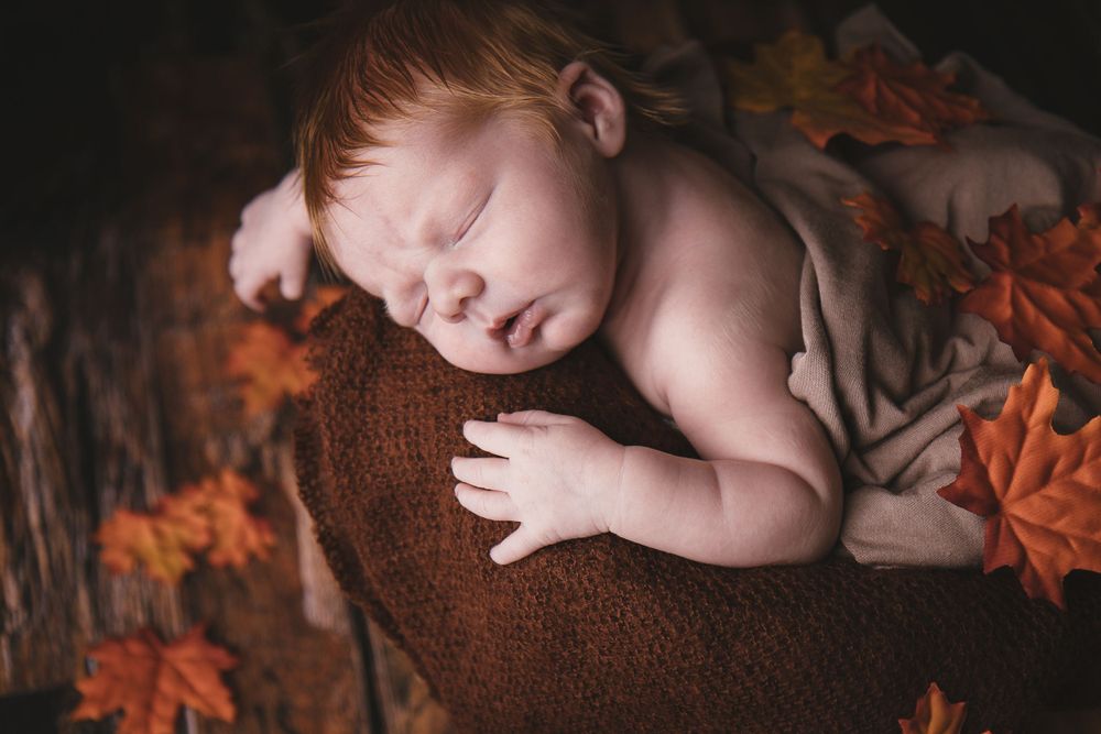 Sleeping newborn baby nestled among autumn leaves and brown textured fabric in warm lighting.
