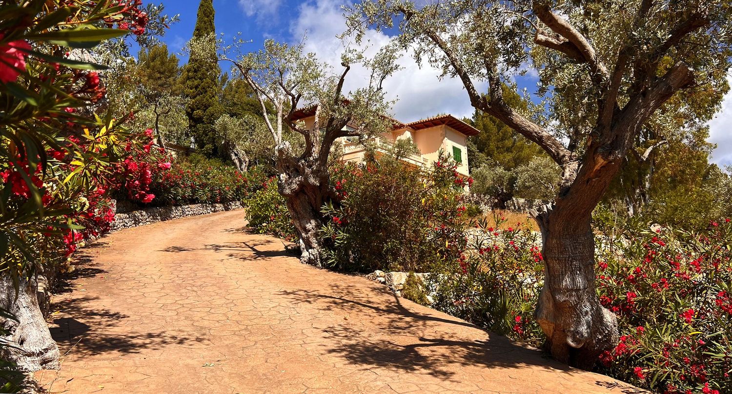 A scenic garden path winds through olive trees and blooming red flowers towards a distant villa.