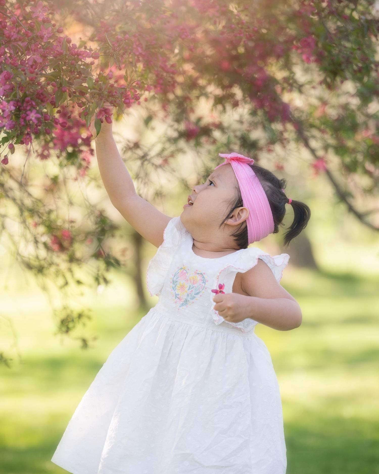 Young child in white dress reaches up to touch flowering tree branches in sunlit garden setting.