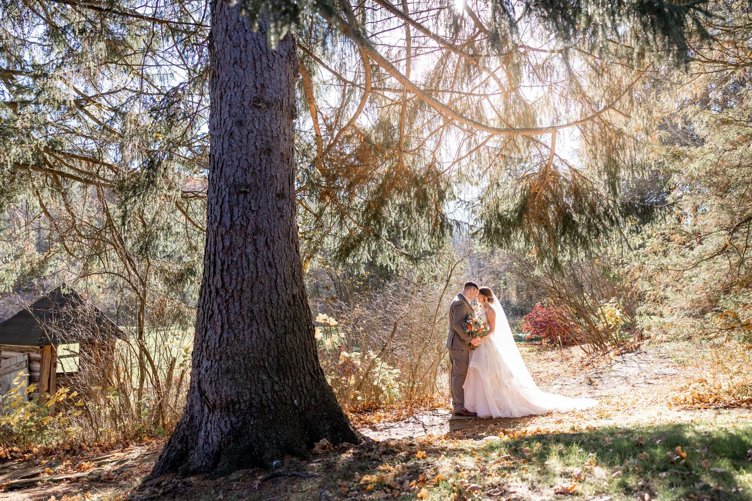 sun glow wedding photography