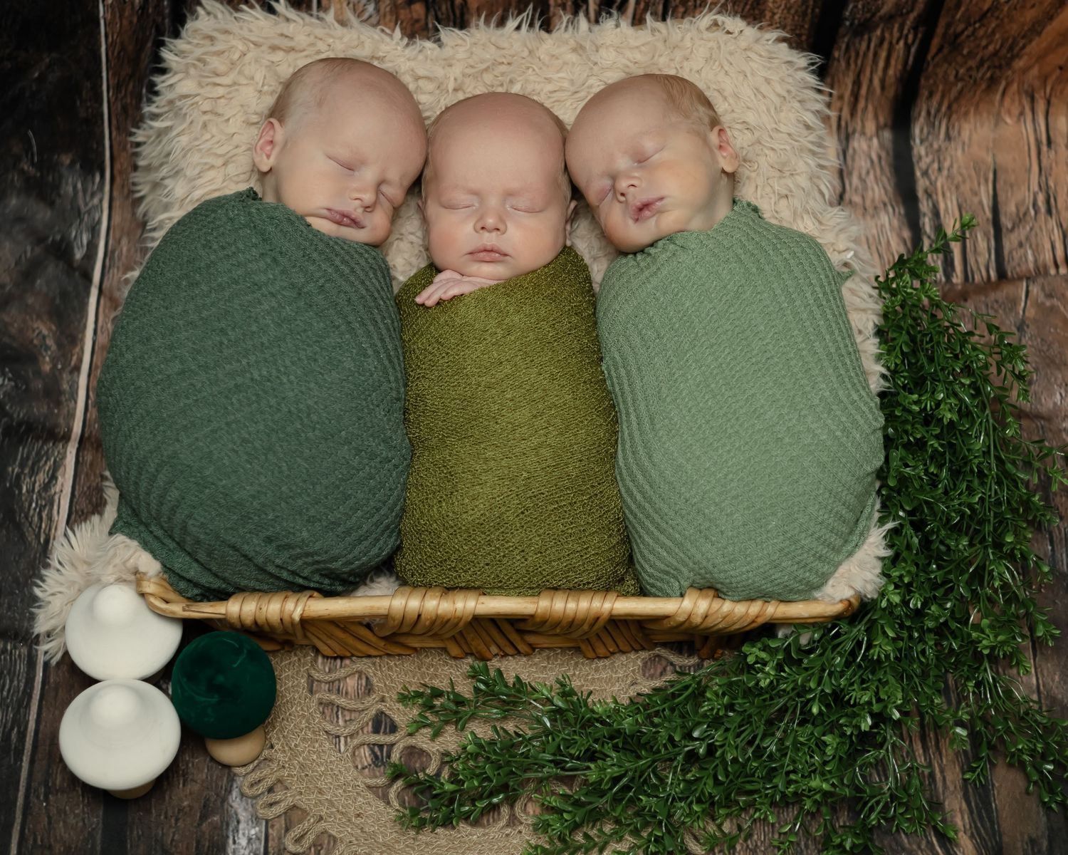 Three sleeping infants swaddled in green knit blankets lying together in a basket with decorative styling elements.