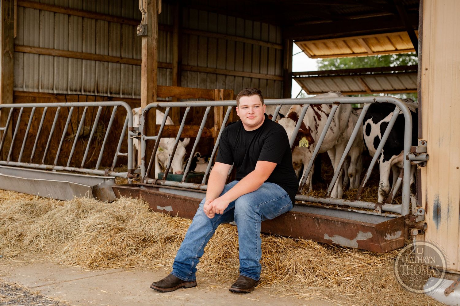 Someone sits casually on hay bales in a dairy barn with Holstein cows visible in their stalls behind them.