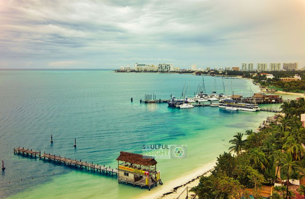 Tropical marina view with boats docked along a pier and city skyline in the distance.