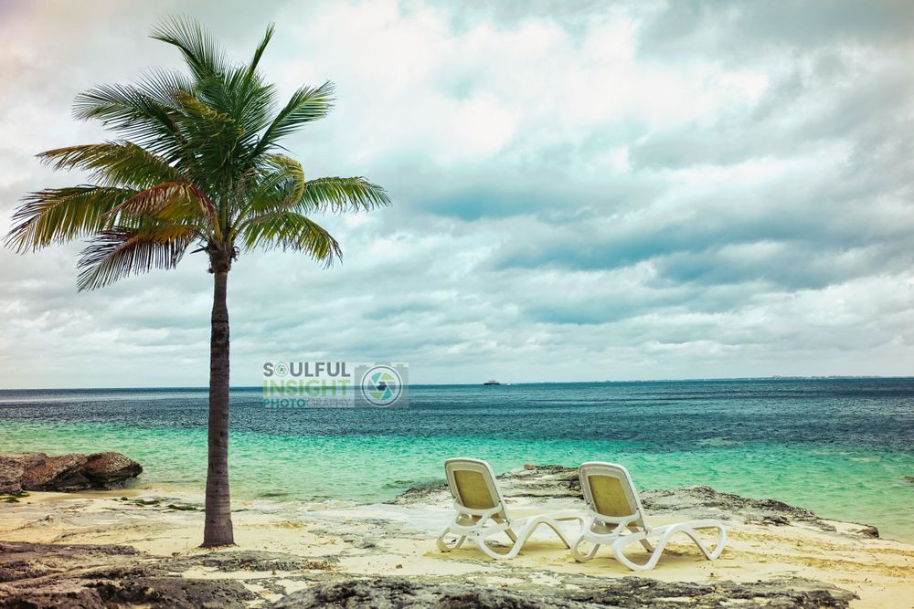 Two empty beach chairs under a palm tree on a tropical shoreline with turquoise waters.