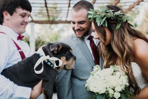 Sweet moment with dog wearing bow tie at outdoor wedding ceremony.