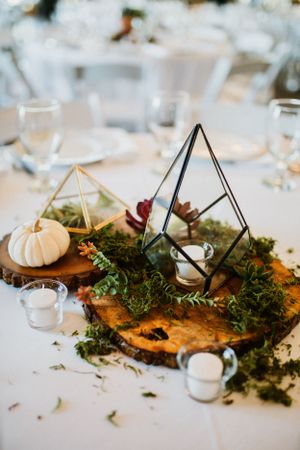 Rustic wedding centerpiece with geometric terrariums, white pumpkins, and moss on a wood slice charger.