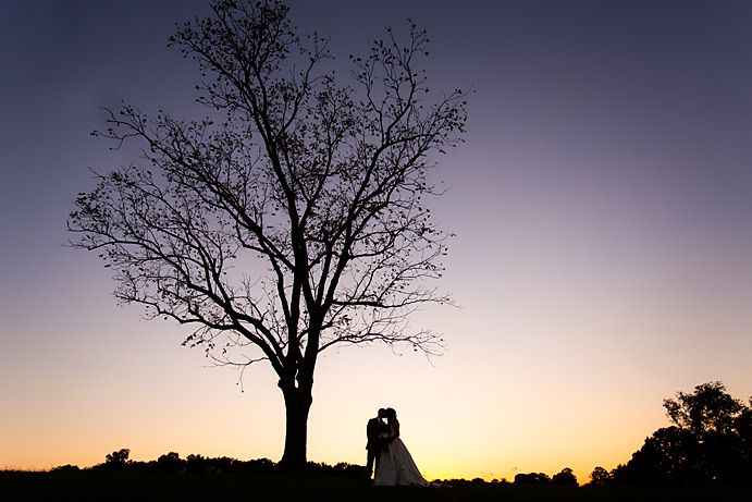A romantic silhouette against a sunset sky with a lone tree in the background.