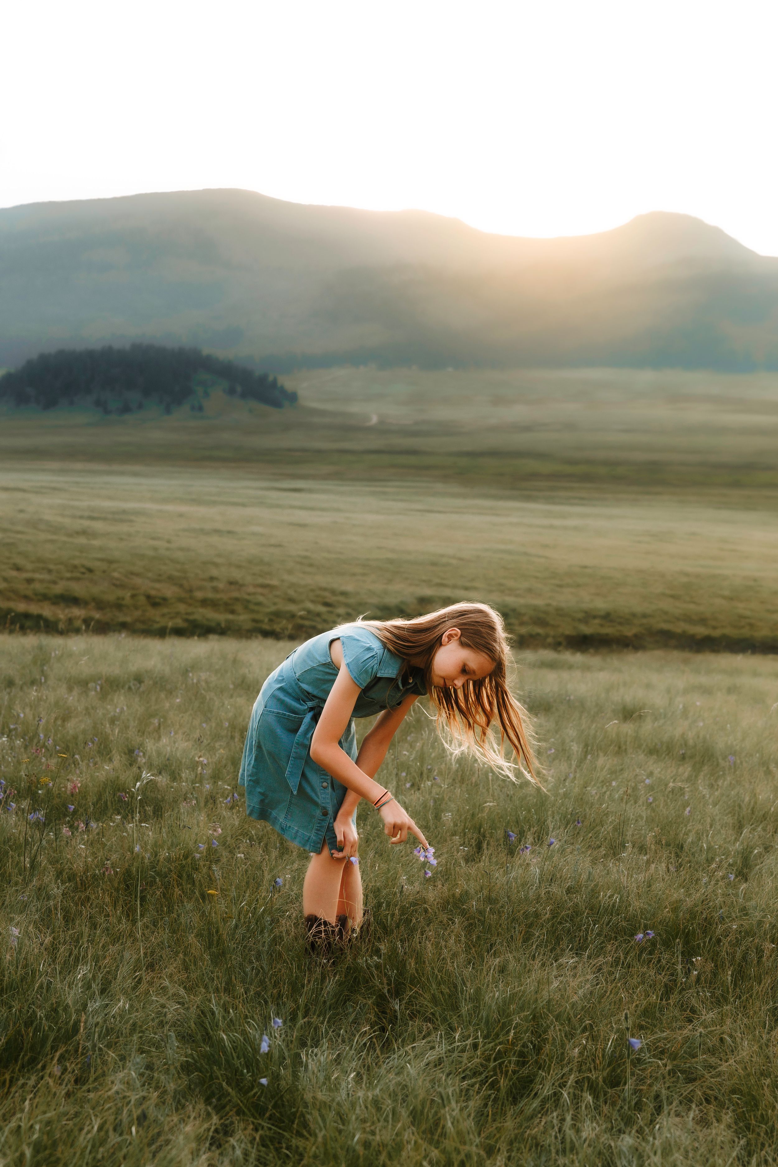 Santa Fe child in teal dress picking wildflowers in New Mexico mountain meadow at sunset.