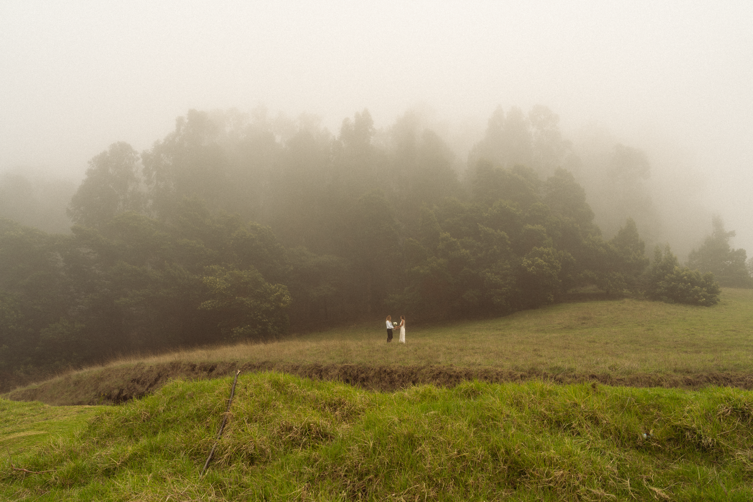 Misty green hillside landscape with fog rolling over mountain slopes.