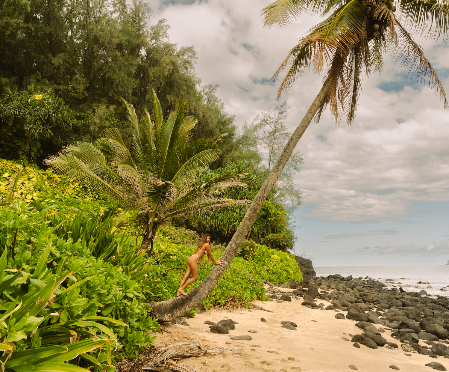 Scenic tropical beach landscape with palm trees and black rocks along the shoreline.