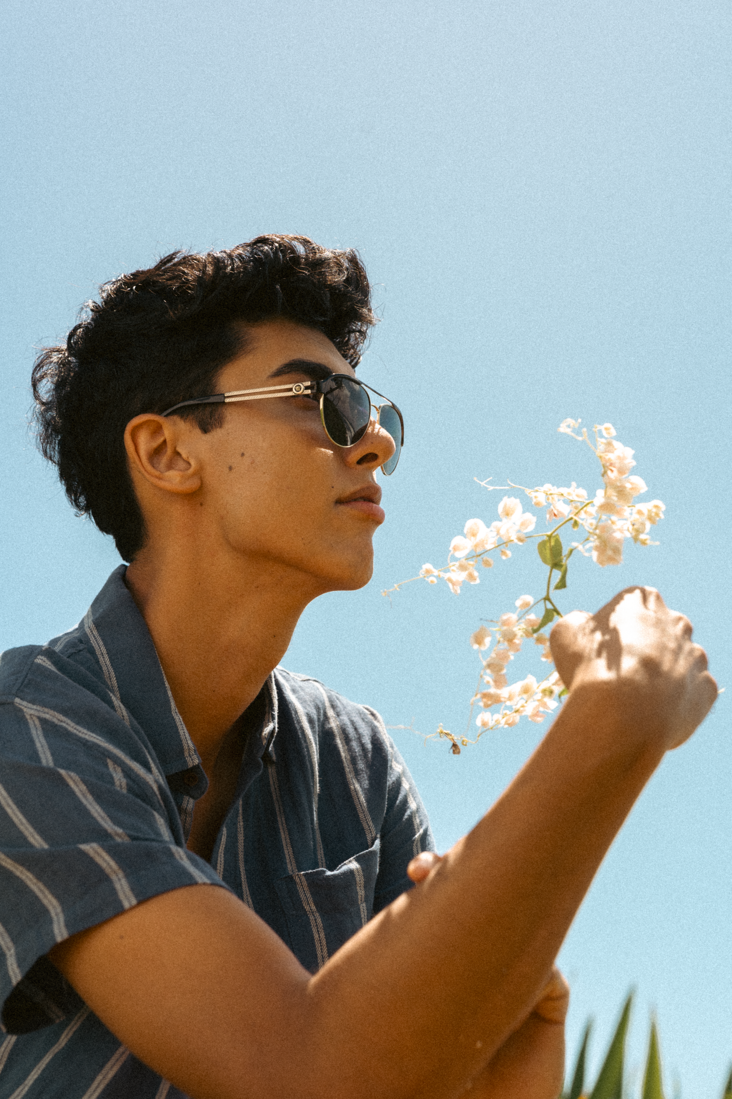 Young man on the beach picking and smelling flowers, in kauai 80s vibes