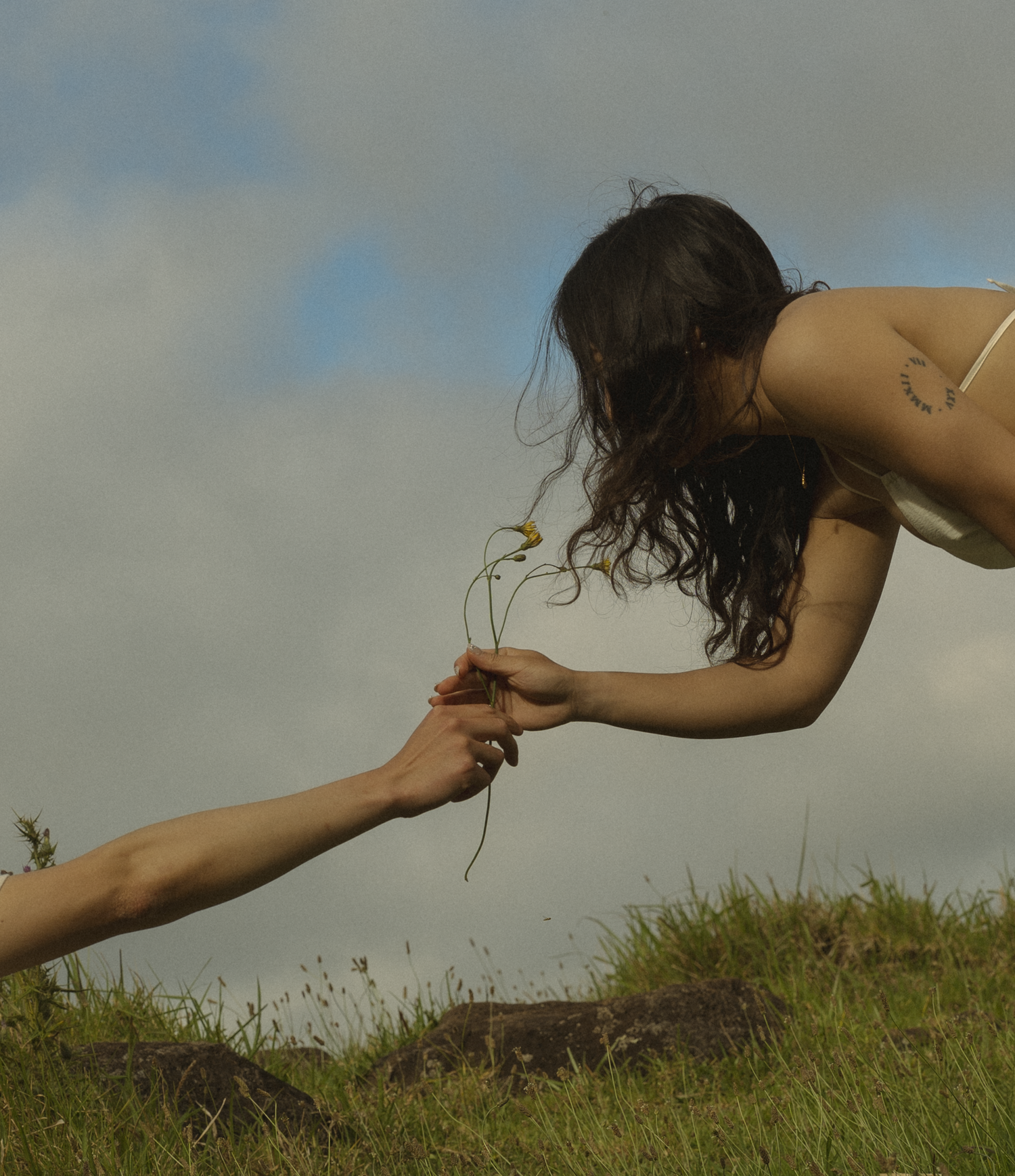 Lovers picking flowers in the mountains of koke'e