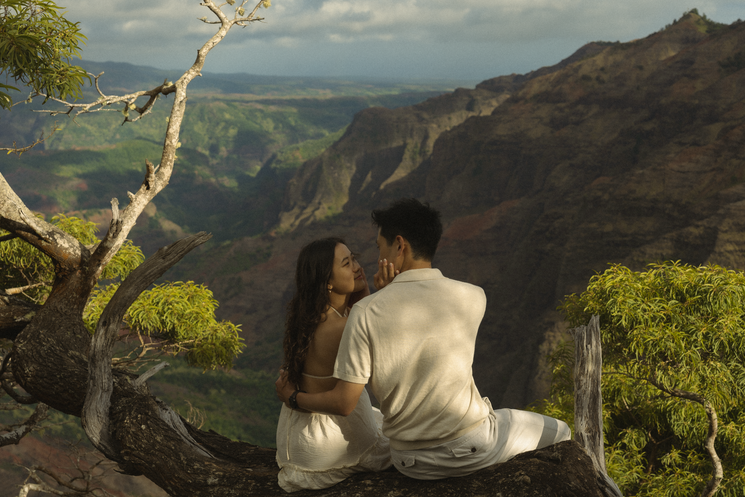 two lovers sitting on a tree over the edge of a canyon enjoying the look out in Waimea, koke'e