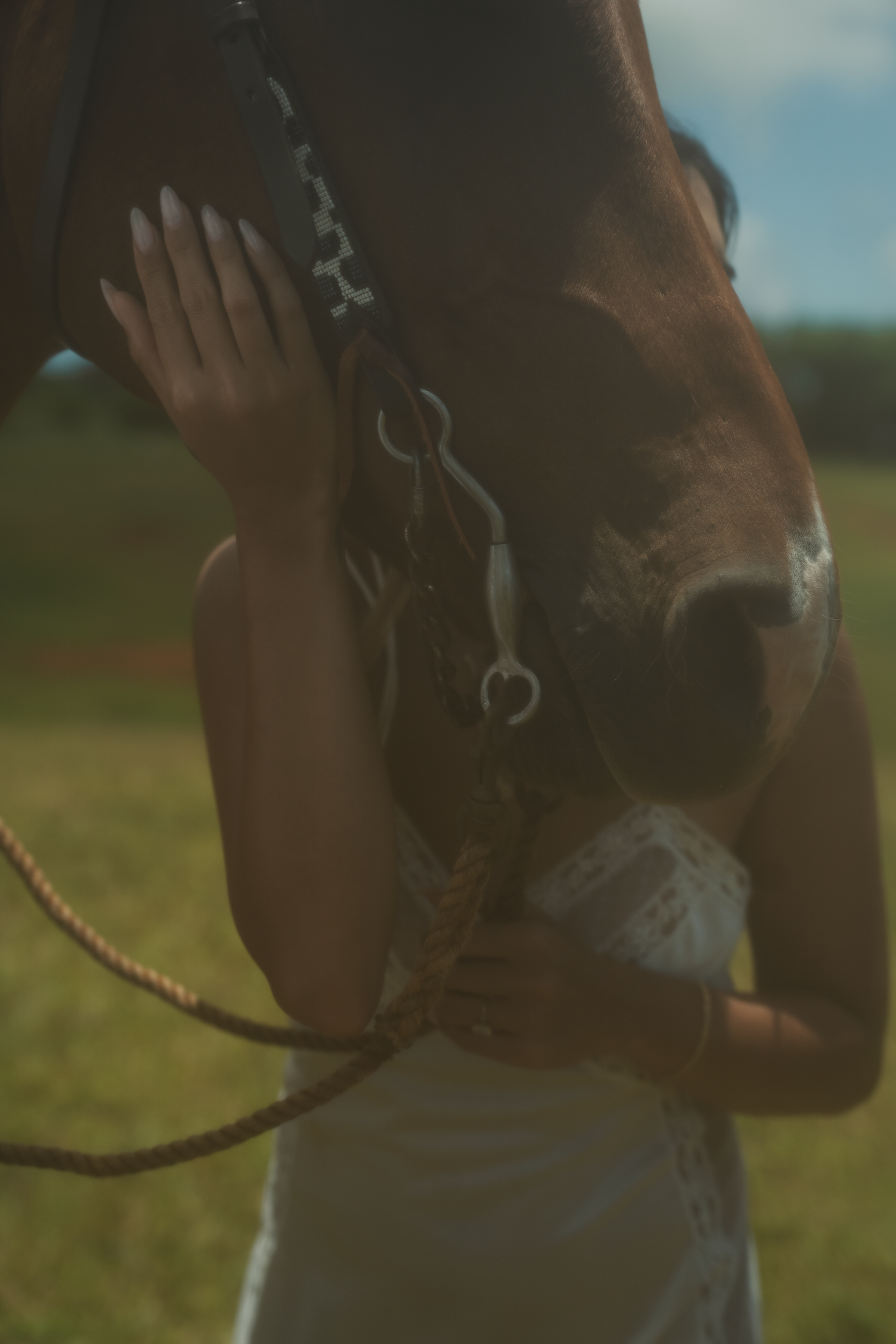 Close-up view of a brown horse's face with bridle against blue sky.
