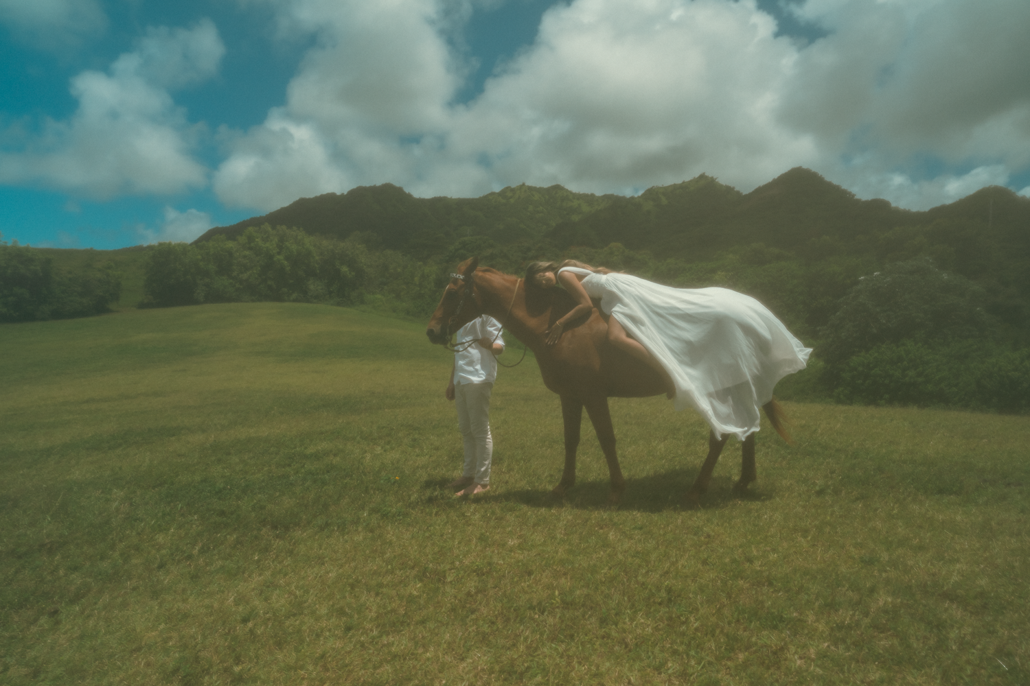 A romantic wedding photo with a horse on a hilltop against a mountainous backdrop.