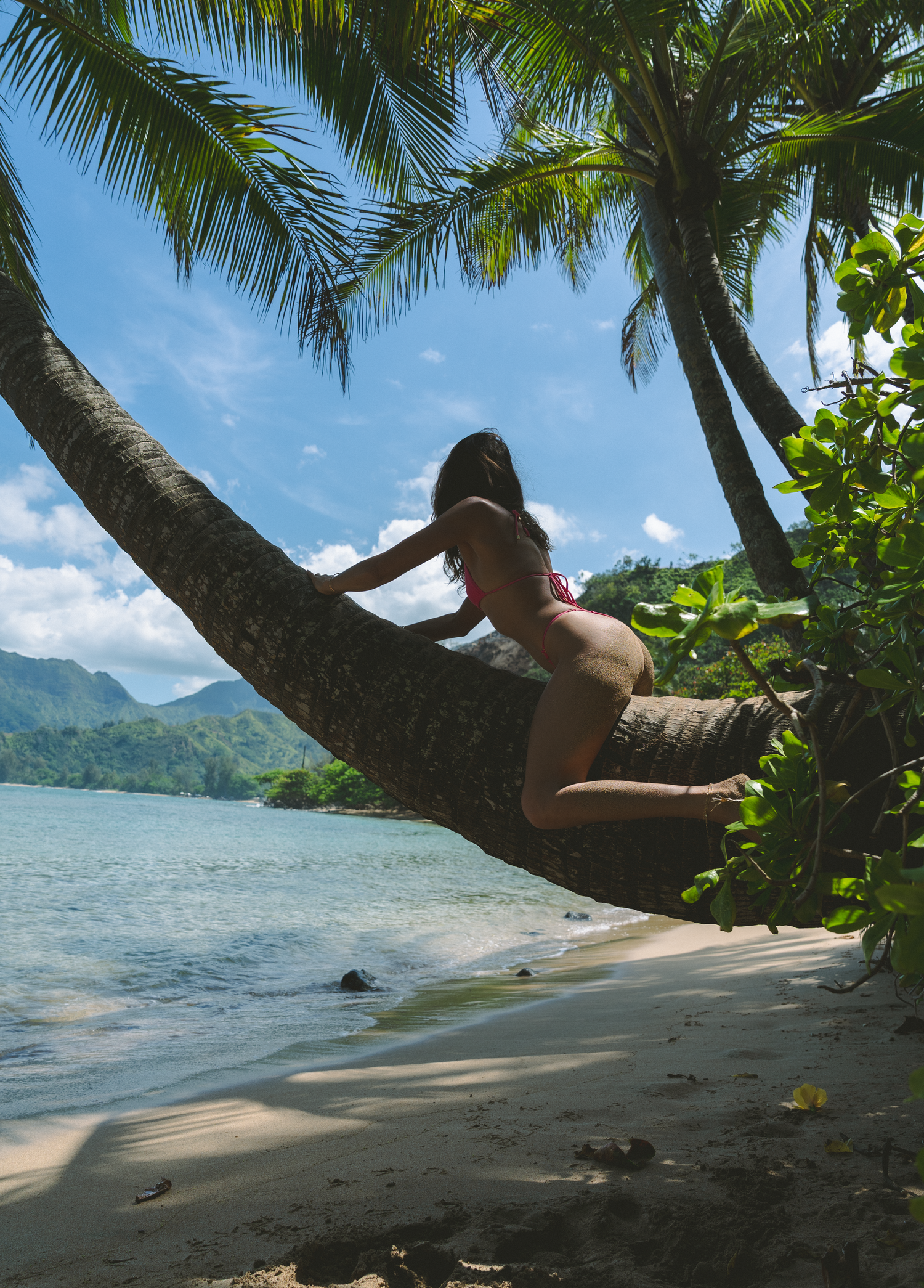 Person relaxing on curved palm tree trunk overhanging tropical beach with mountains in distance.