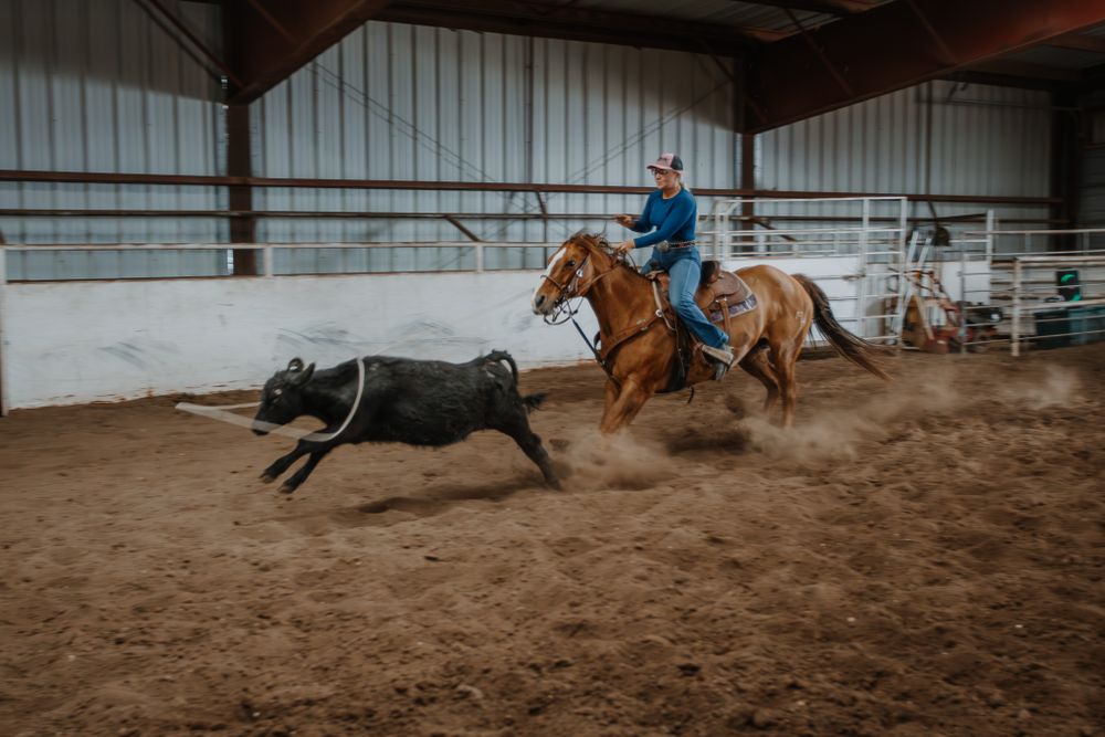 Rider on brown horse chases black bull during indoor rodeo event.