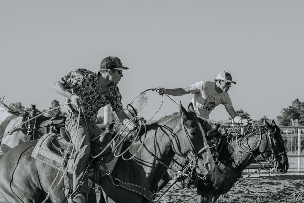 A vintage black and white photo captures dynamic rodeo action with riders on galloping horses.
