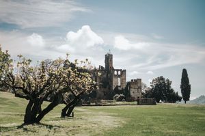 Ancient stone castle ruins surrounded by blooming trees and green meadows under a cloudy sky.