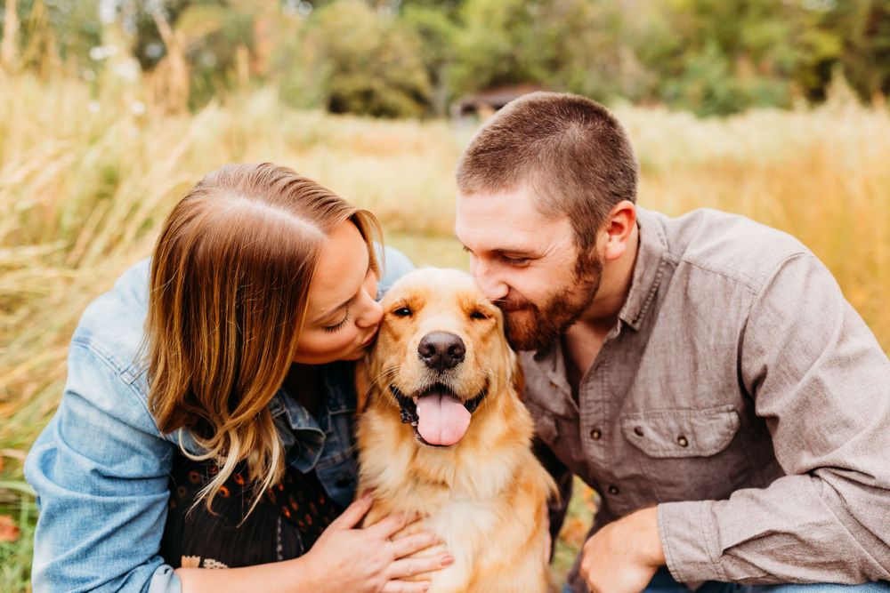 A couple and their golden retriever dog share joyful moments together in a sunny outdoor setting during a photo session.