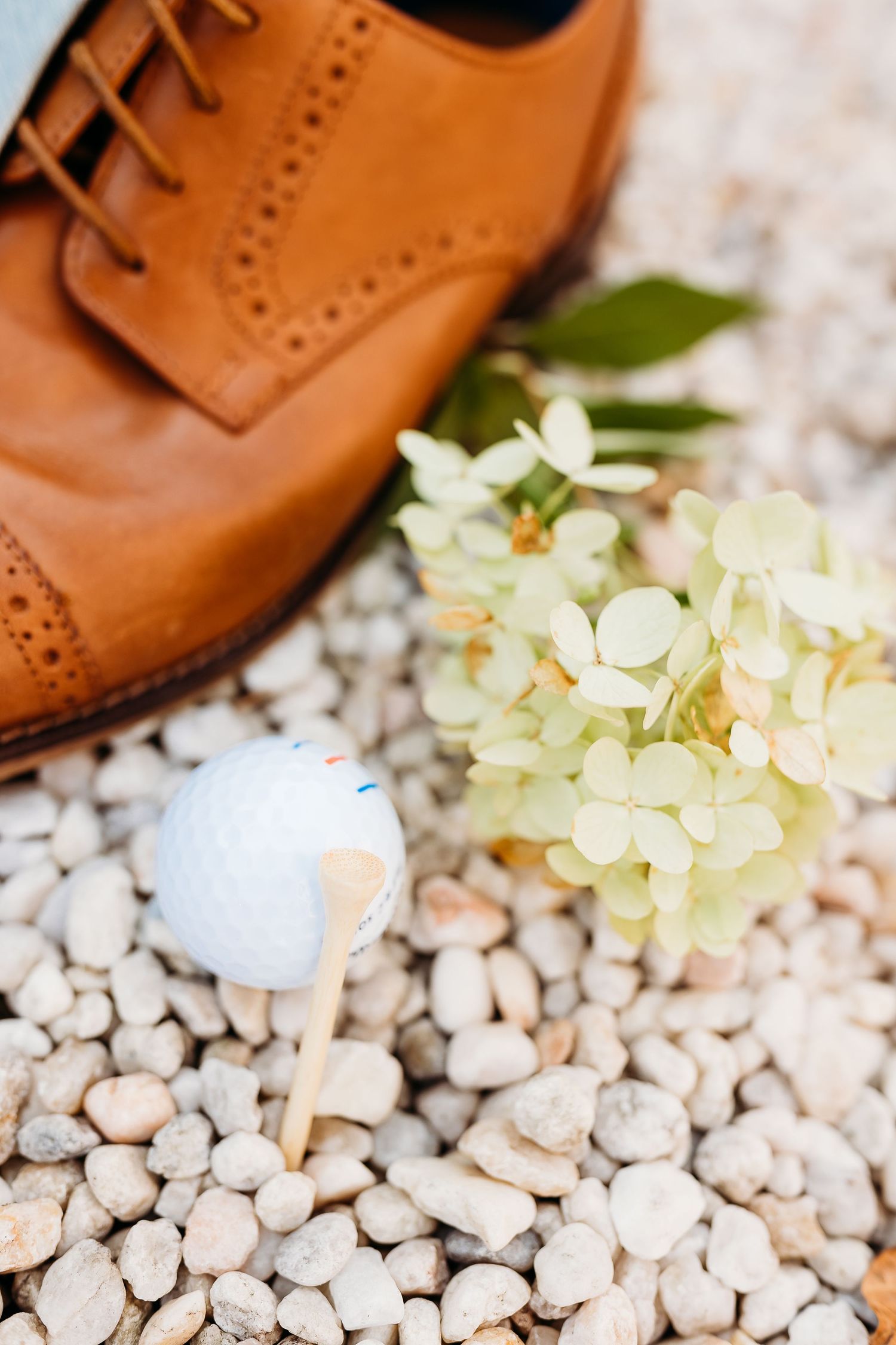 Brown leather dress shoes with delicate white flowers on white pebbles create an elegant wedding detail composition.