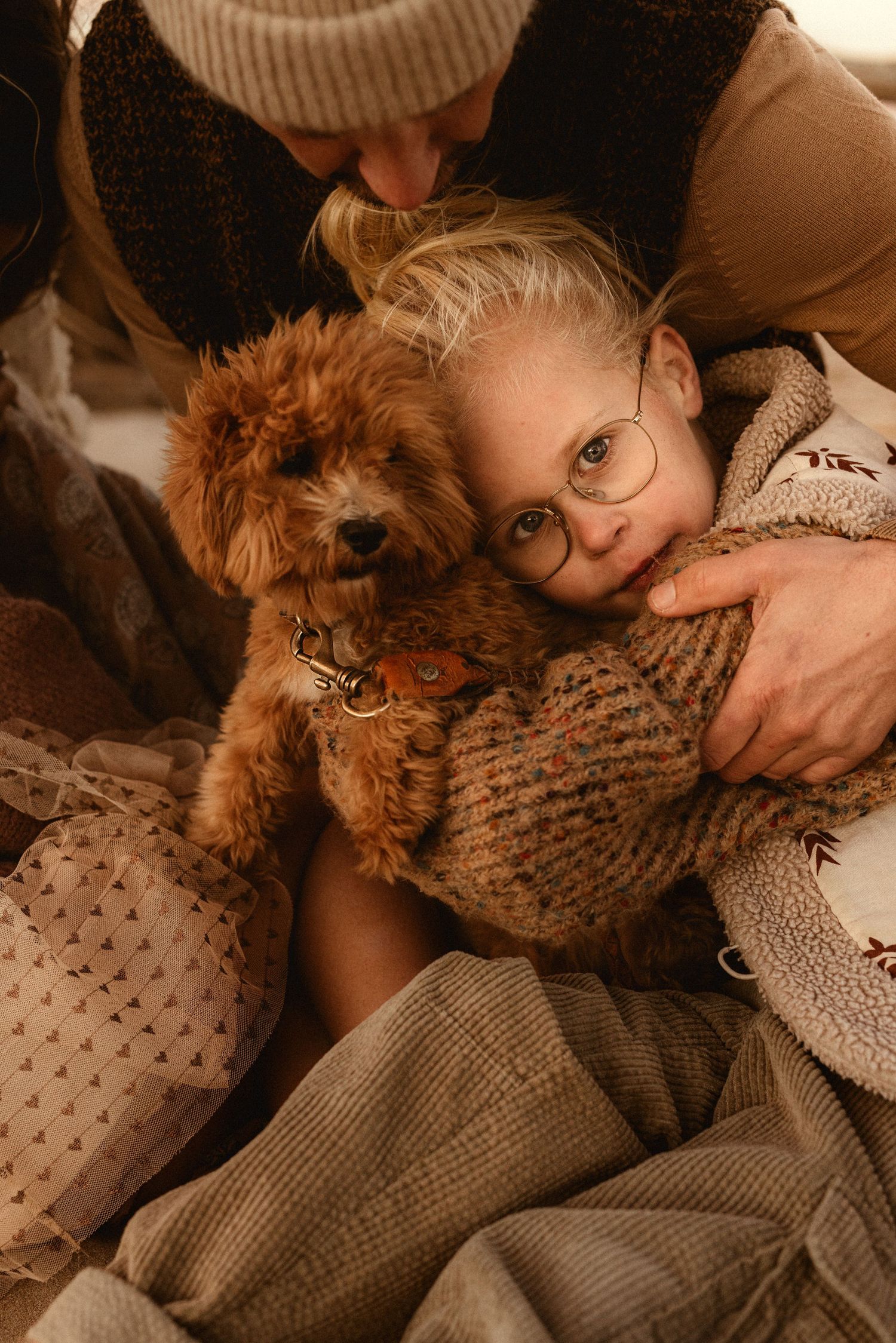 A small brown poodle mix dog cuddling on cozy blankets in warm lighting. Denia photographer