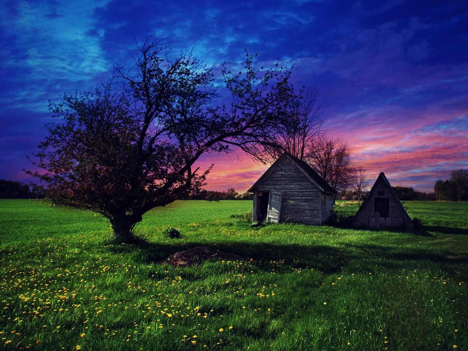 Ravenbluff.com art and photography, j. Holbrook,