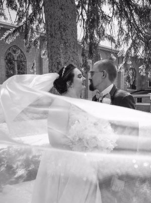 A romantic wedding couple embracing beneath evergreen trees in a scenic outdoor setting.
