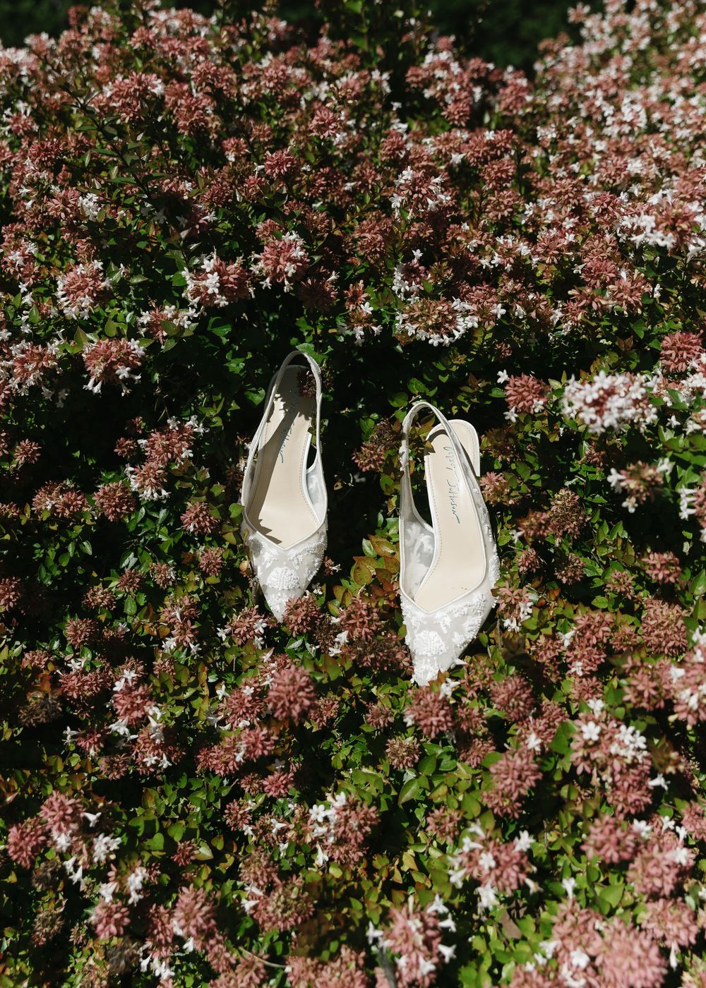 White bridal shoes displayed hanging in a blooming pink cherry blossom tree.