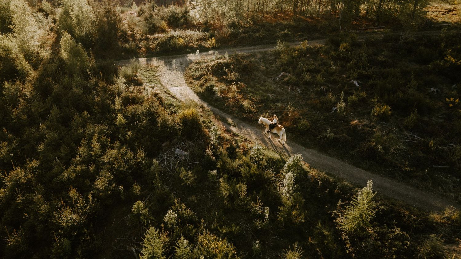 Aerial view of a mountain biker riding a winding dirt trail through dense autumn forest in golden light.