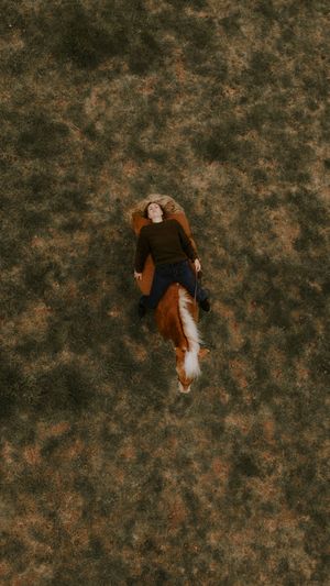 Aerial view of a woman lying on brown grass field beside a chestnut horse, shot from above.