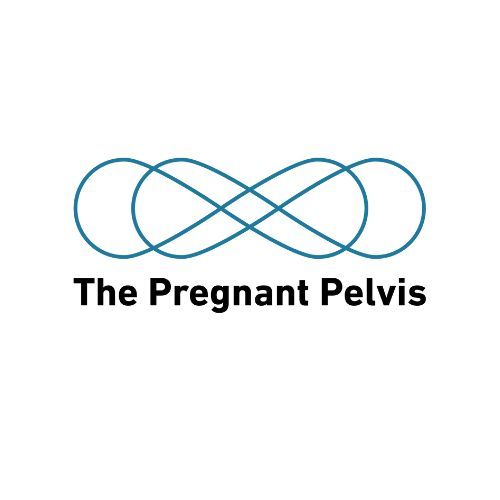 the pregnant pelvis