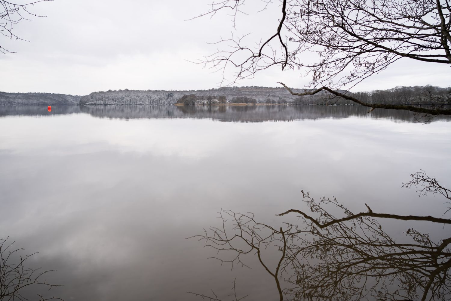 En panoramaudsigt over en tåget sø omgivet af bare vintertræer og bakker i baggrunden.