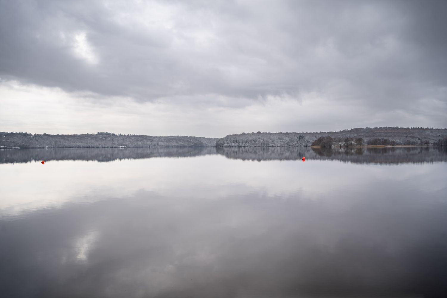 En panoramaudsigt over en tåget sø omgivet af bare vintertræer og bakker i baggrunden.