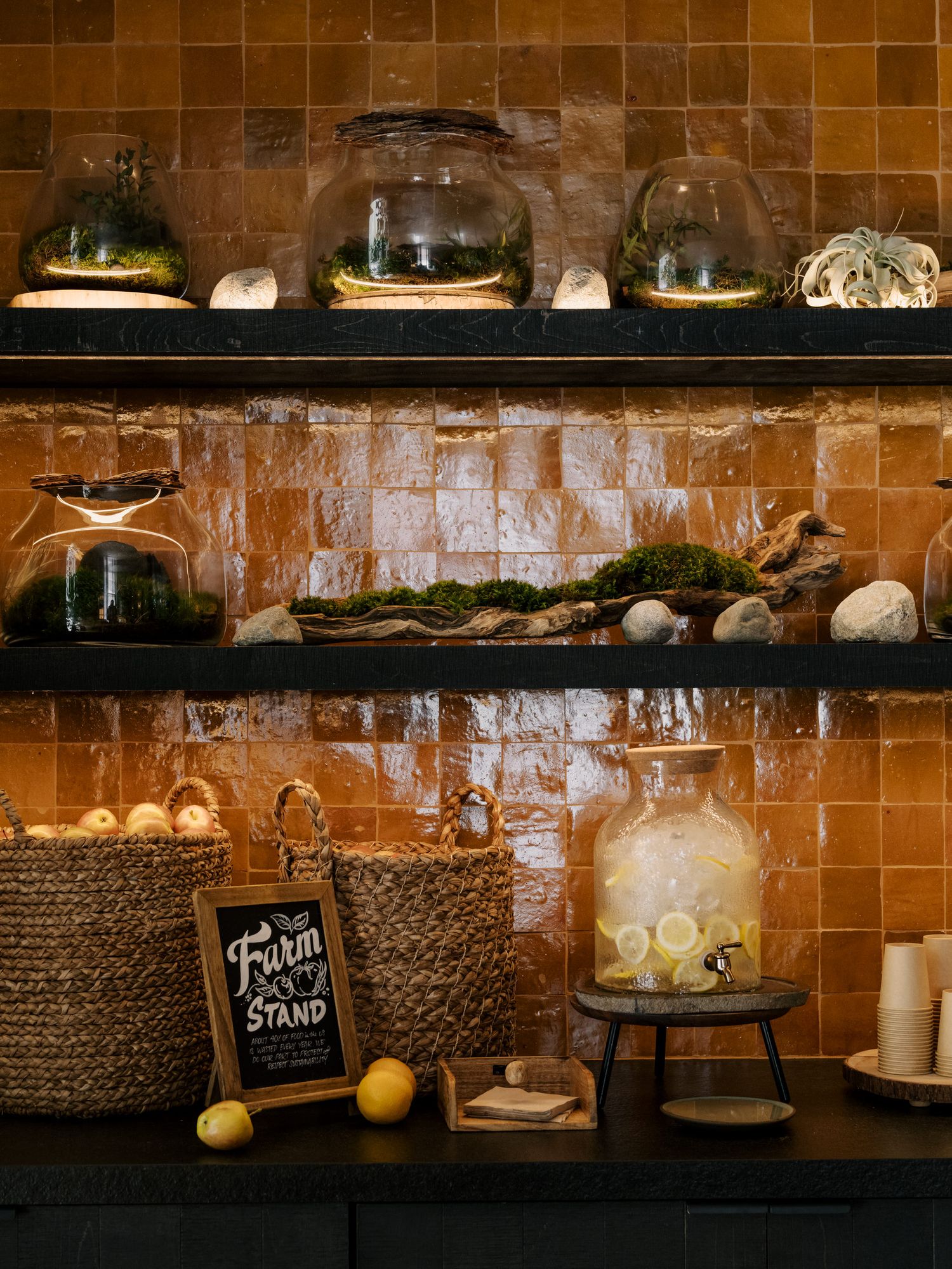 Rustic wooden shelves display glass terrariums and jars with ambient lighting against warm brown tile wall.