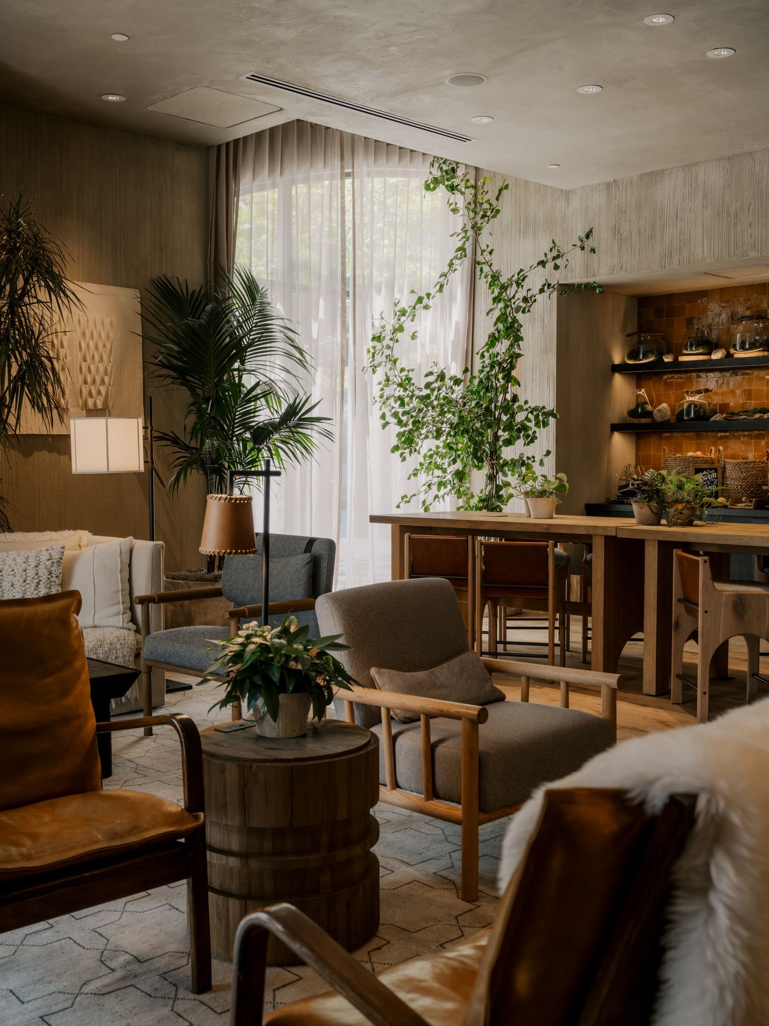 Modern living room with leather chairs, indoor plants, wooden barrel table and floating shelves in a cozy earth-toned setting.
