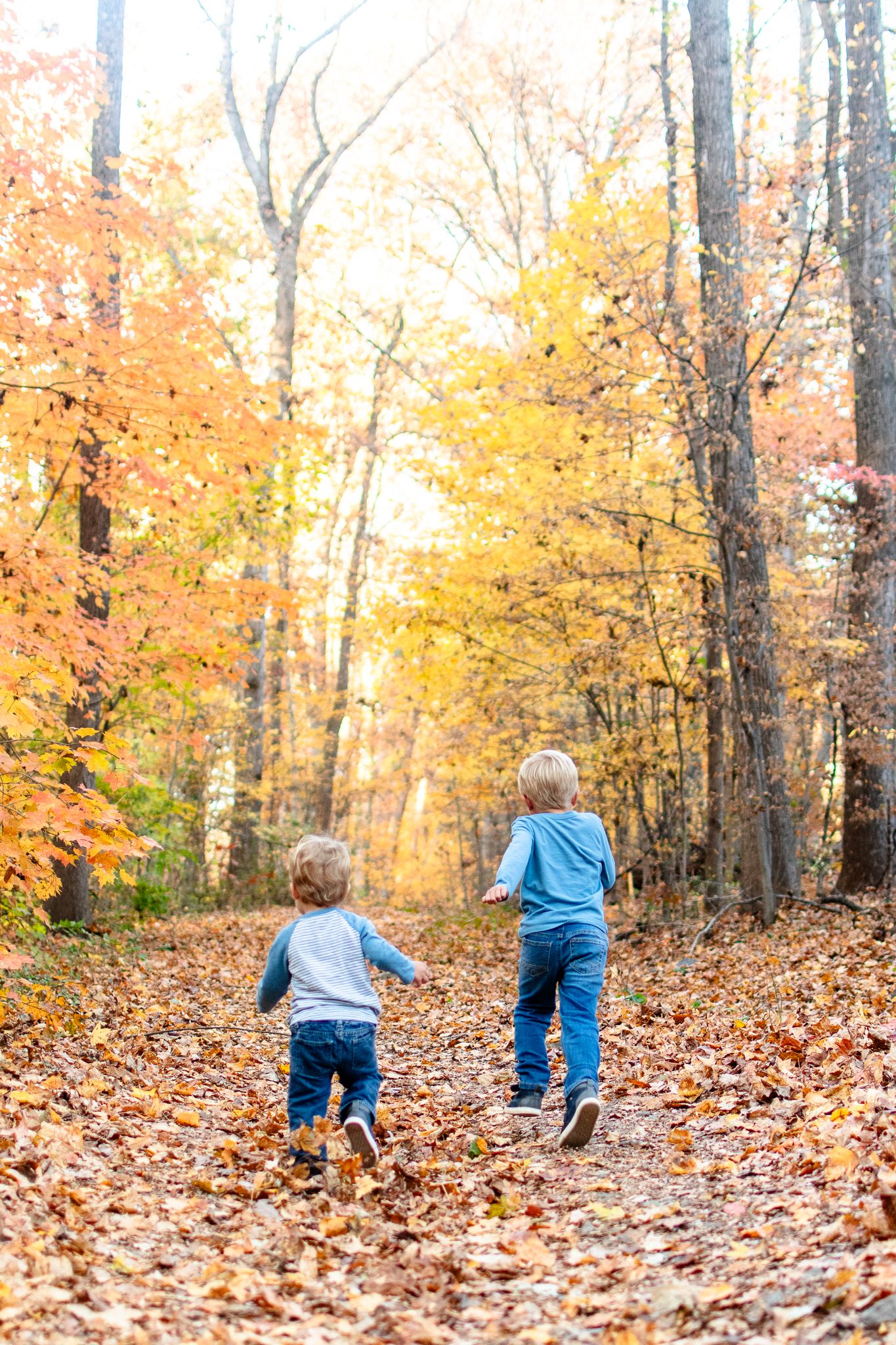 Kids run along a path covered with fall leaves at Reynolds Gardens in Winston-Salem.