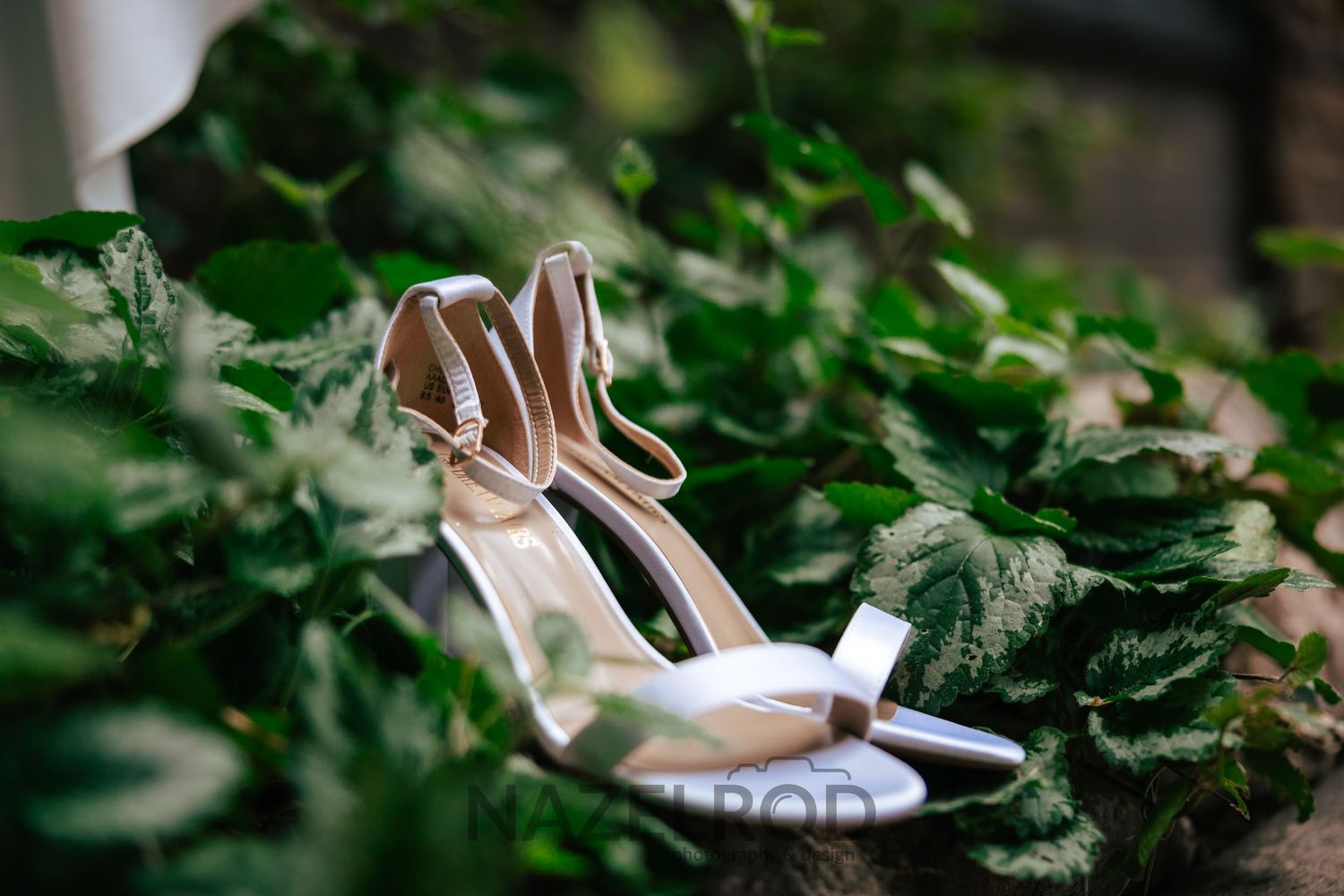 shoes of the bride in a bed of leaves