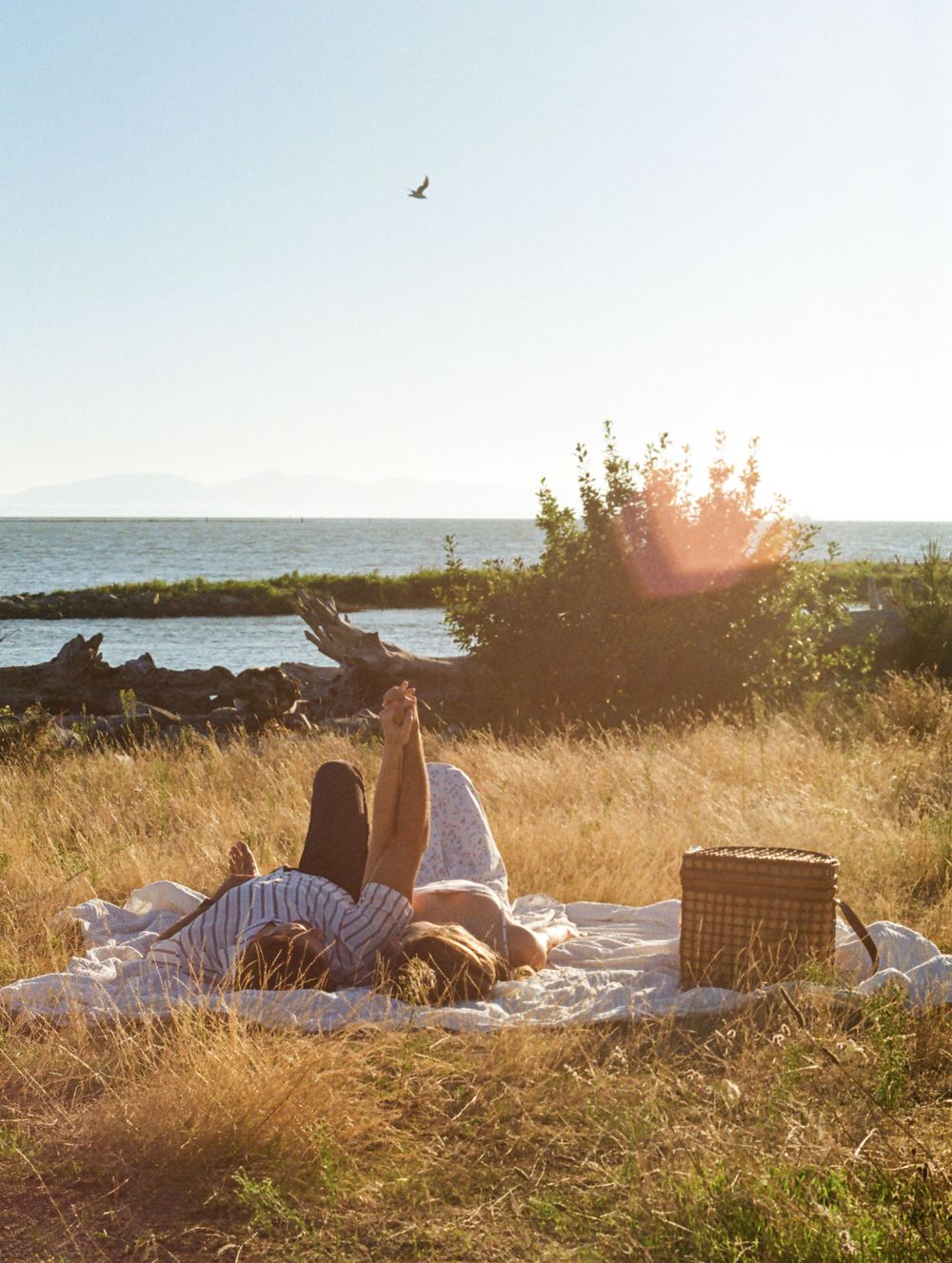 vancouver film photographer. engagement. ocean. picnic. storytelling. documentary