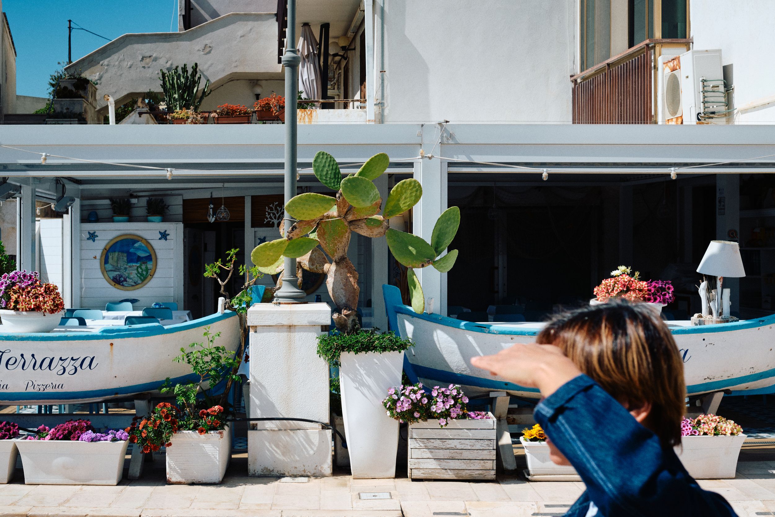 Outdoor seaside cafe decorated with potted plants and rustic decor.