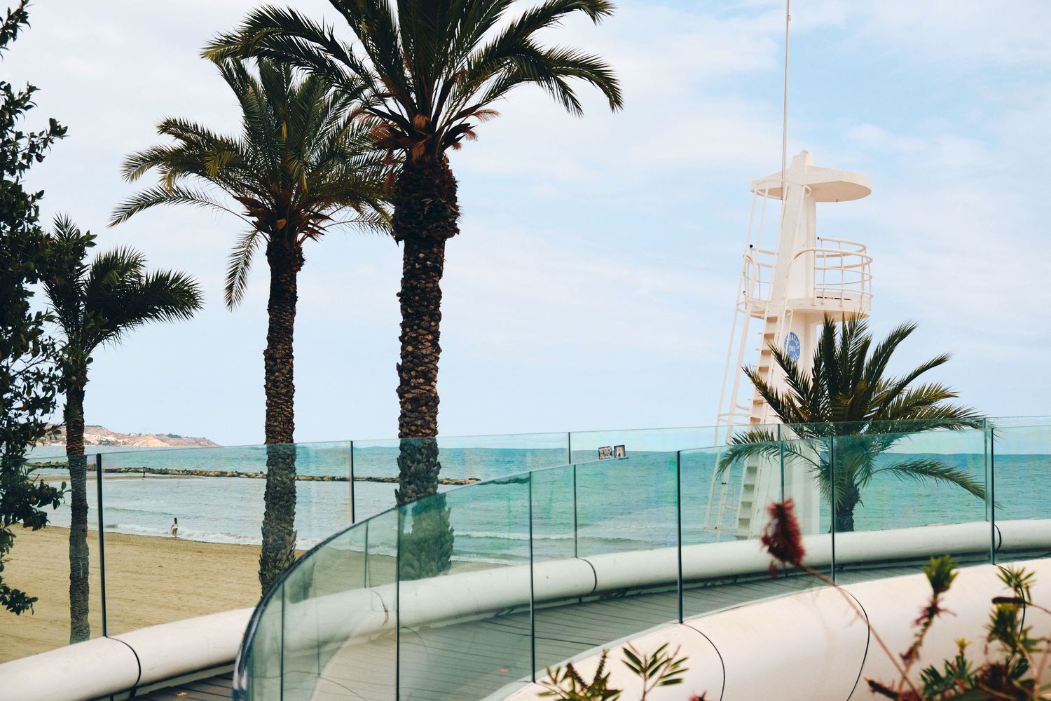 Coastal walkway with glass barrier, palm trees, and beach views under blue skies.
