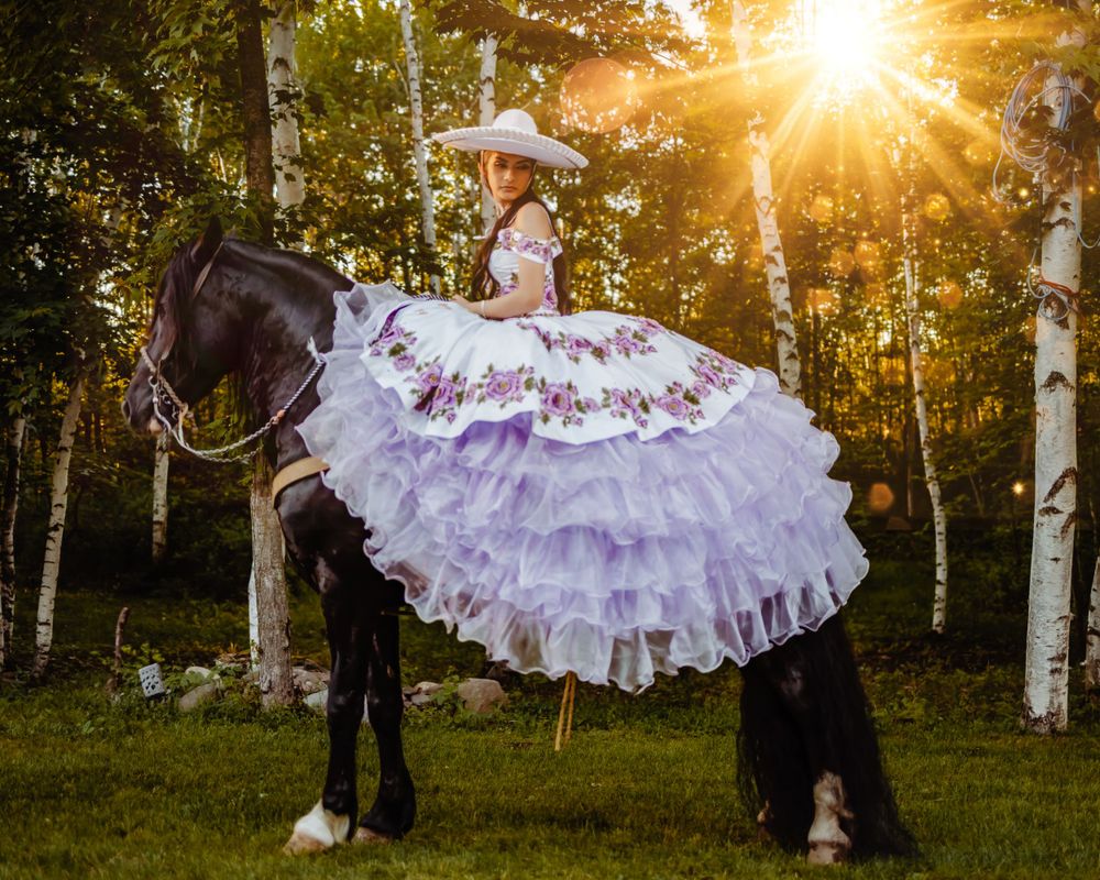 Dramatic sunset photo of a purple ruffled ball gown atop a black horse in a birch forest.Quinceanera
