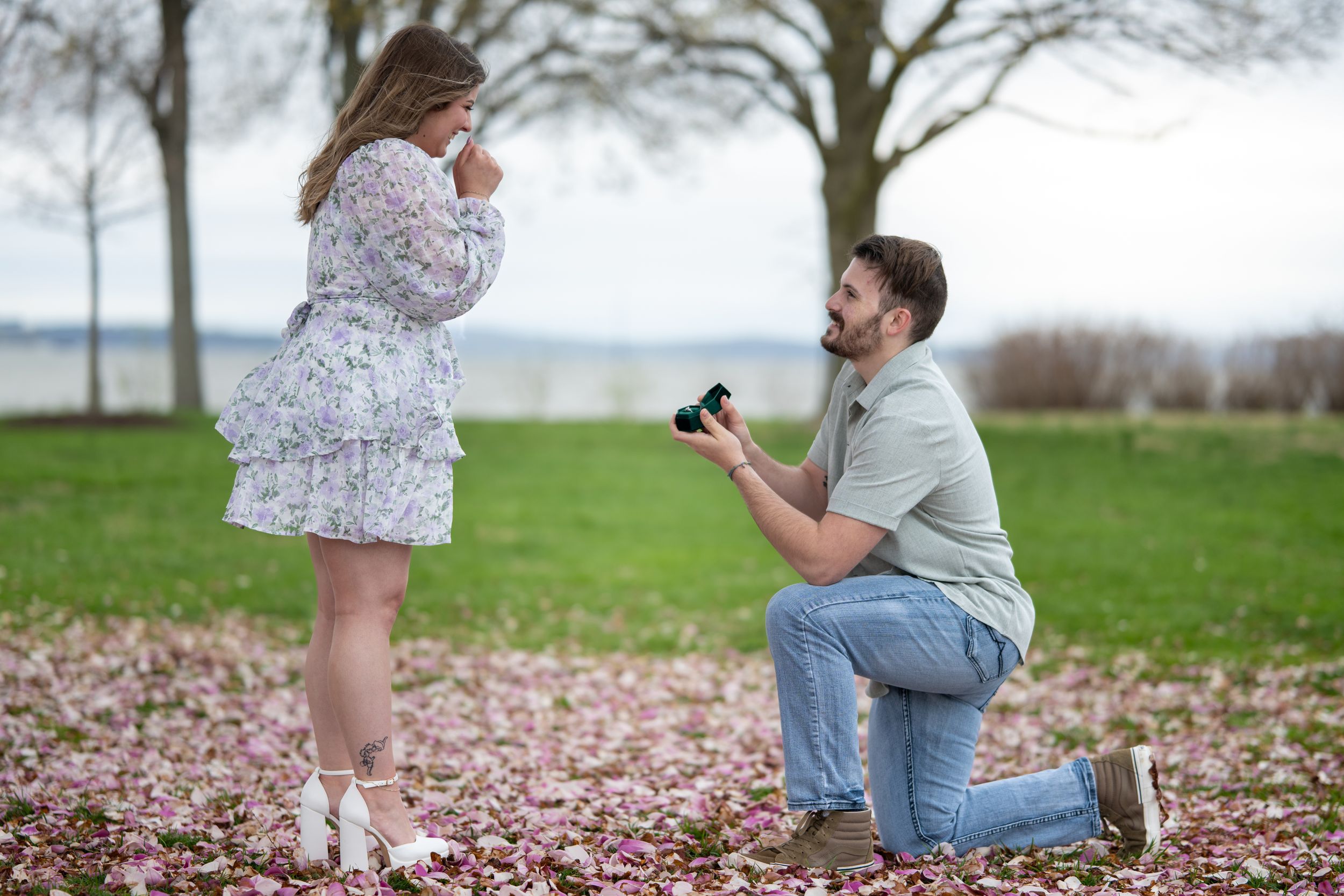 Marriage proposal scene in a park with scattered pink flower petals on the ground.