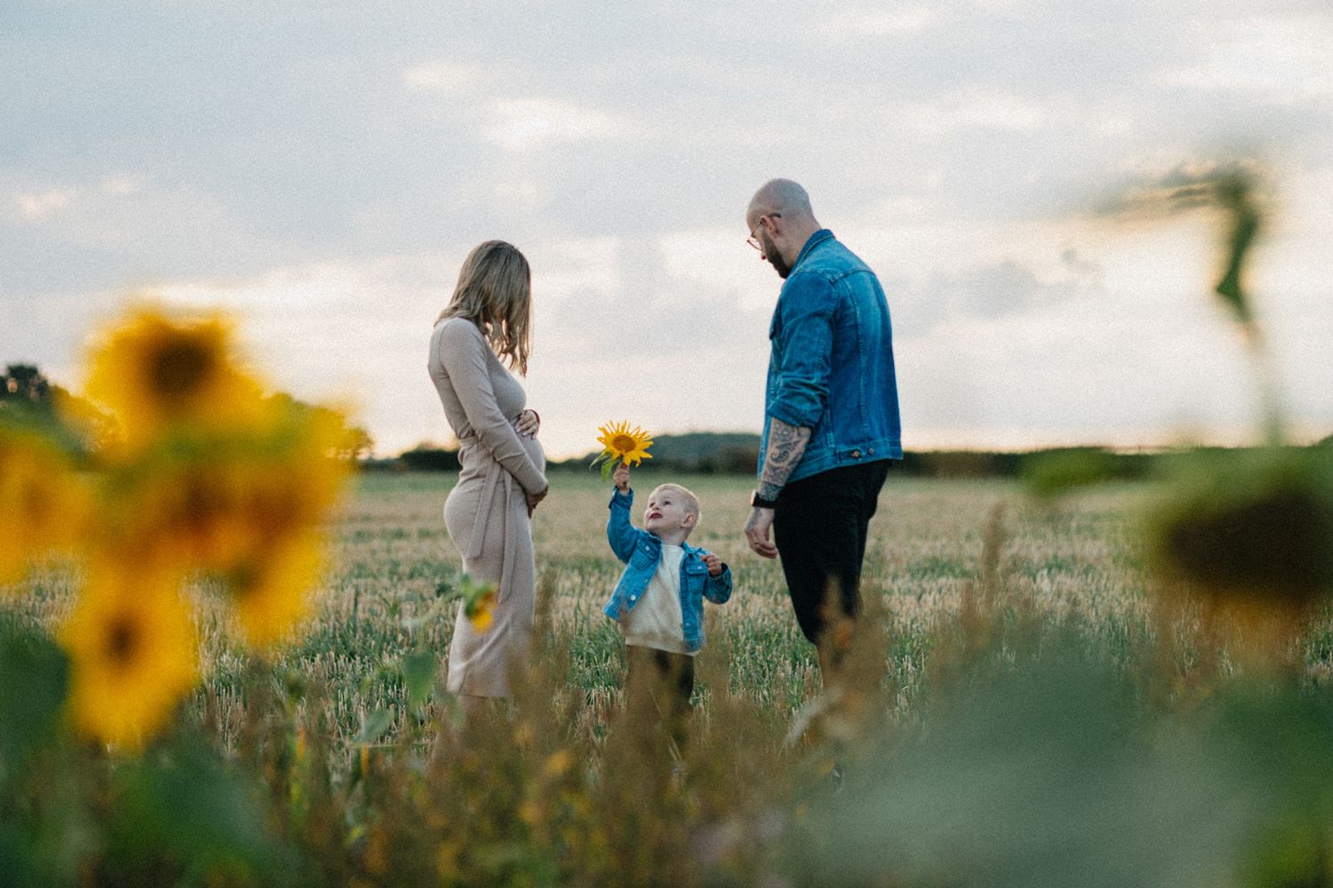Family standing in a sunflower field during golden hour.