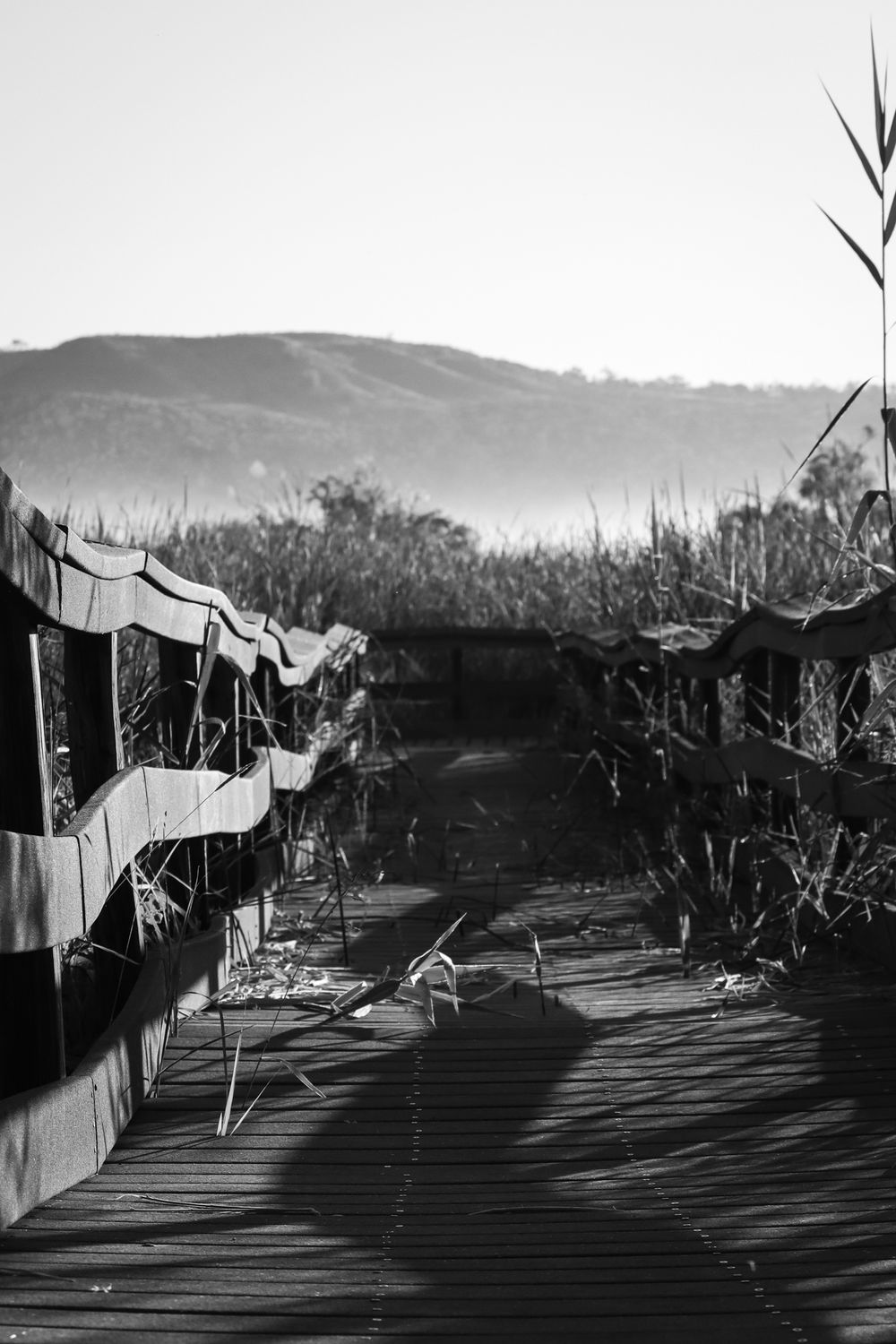 A black and white walkway lined with canvas tents extends into the distance with hills in the background.