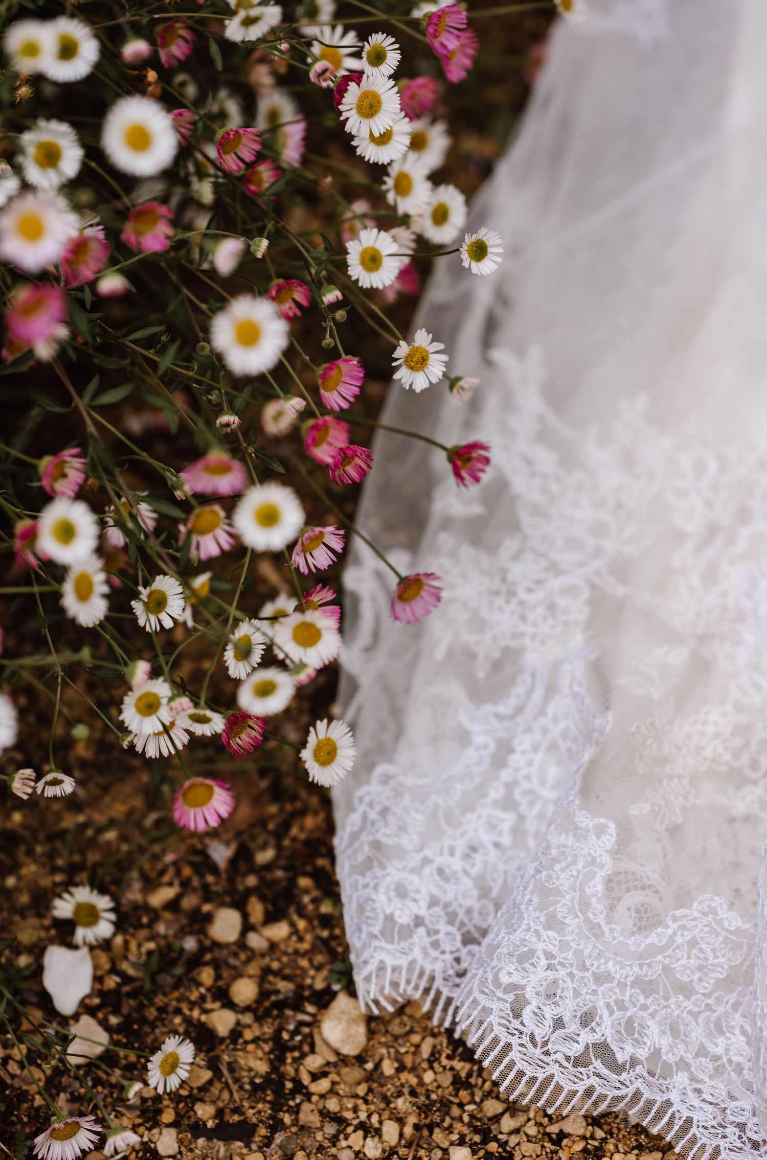 White lace wedding dress hem resting among delicate pink and white daisy wildflowers on rocky ground.