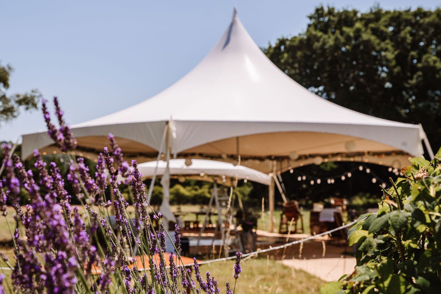 Perfect Party Tent. Marquee hire Dorset. Dorset outdoor wedding. Manor house wedding Dorset. Candid Dorset photos. Marquee wedding Dorset.