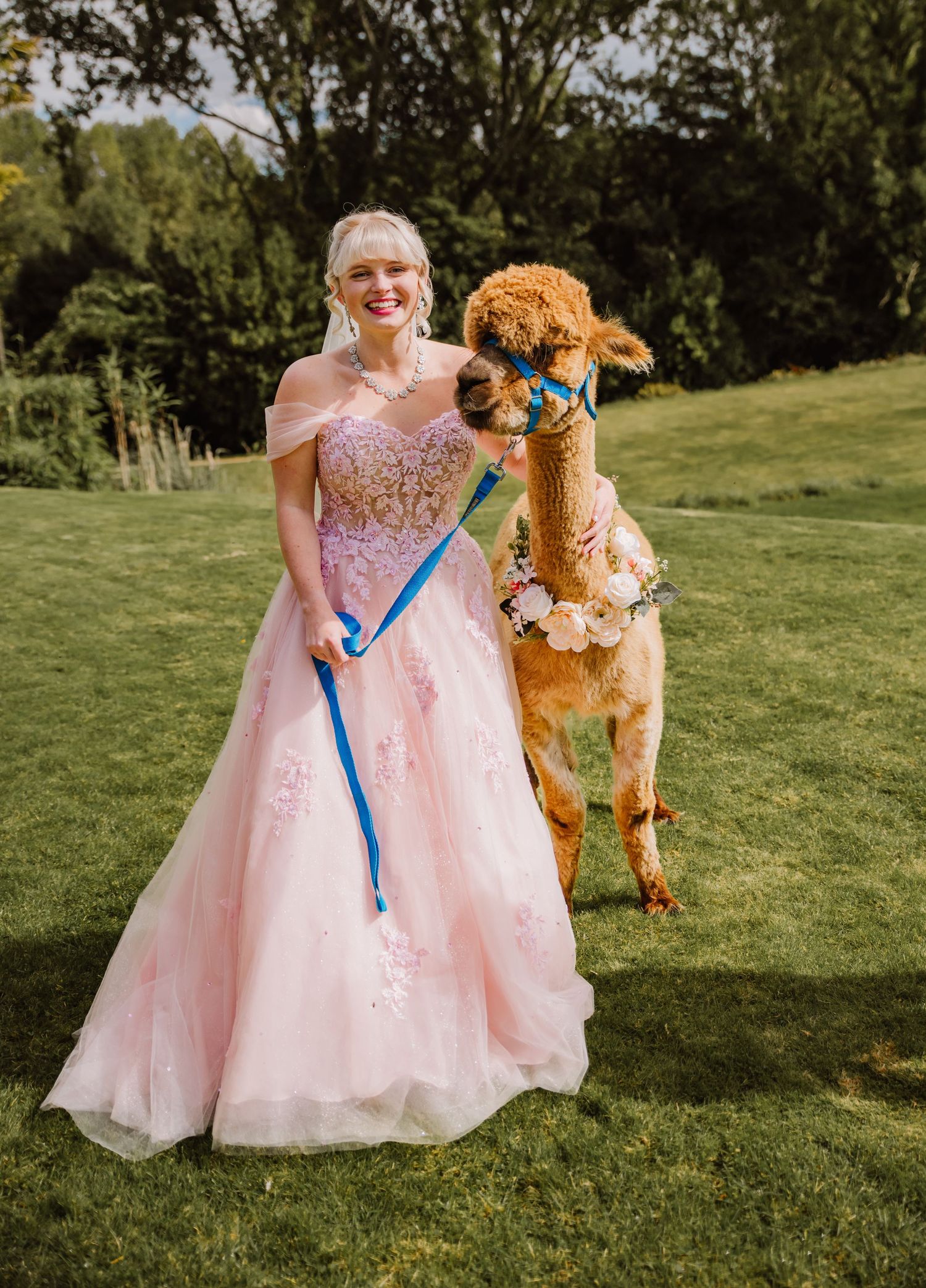 Upwey House. Wedding venue in Weymouth.. Dorset Alpaca. Outdoor wedding Dorset.   Pink wedding dress. Bridal Reloved Dorchester.