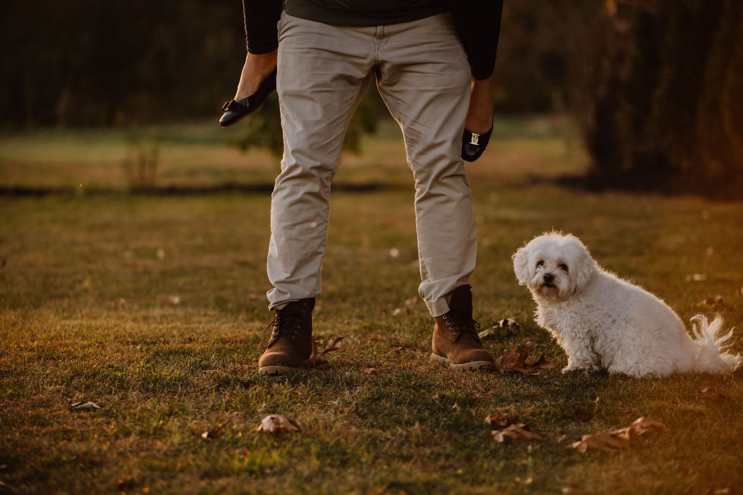 Dog at engagement shoot. Engagement shoot on farm. Weymouth photographer