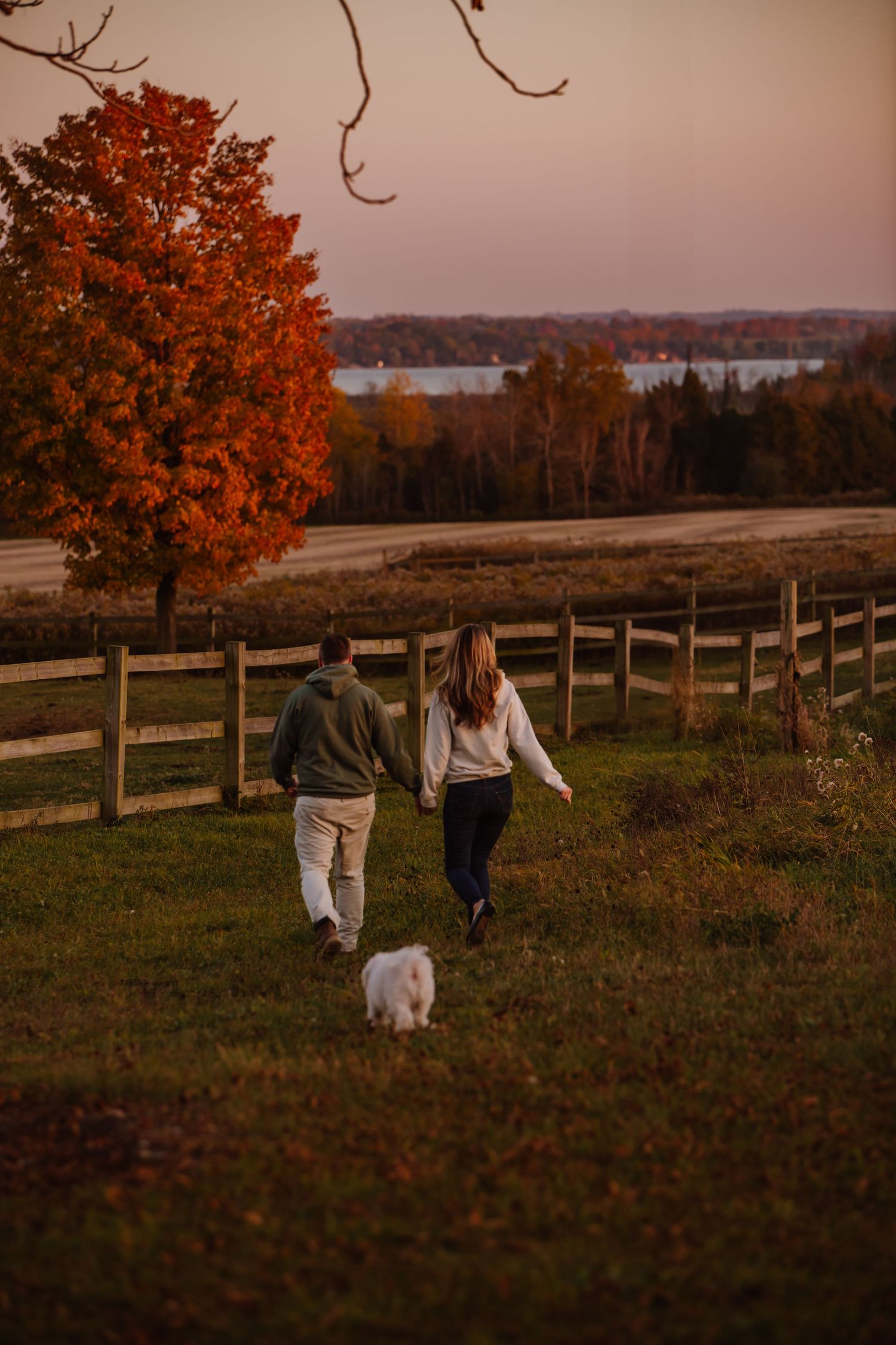 Ontario, Canada engagement shoot. Engagement shoot on farm. Weymouth photographer